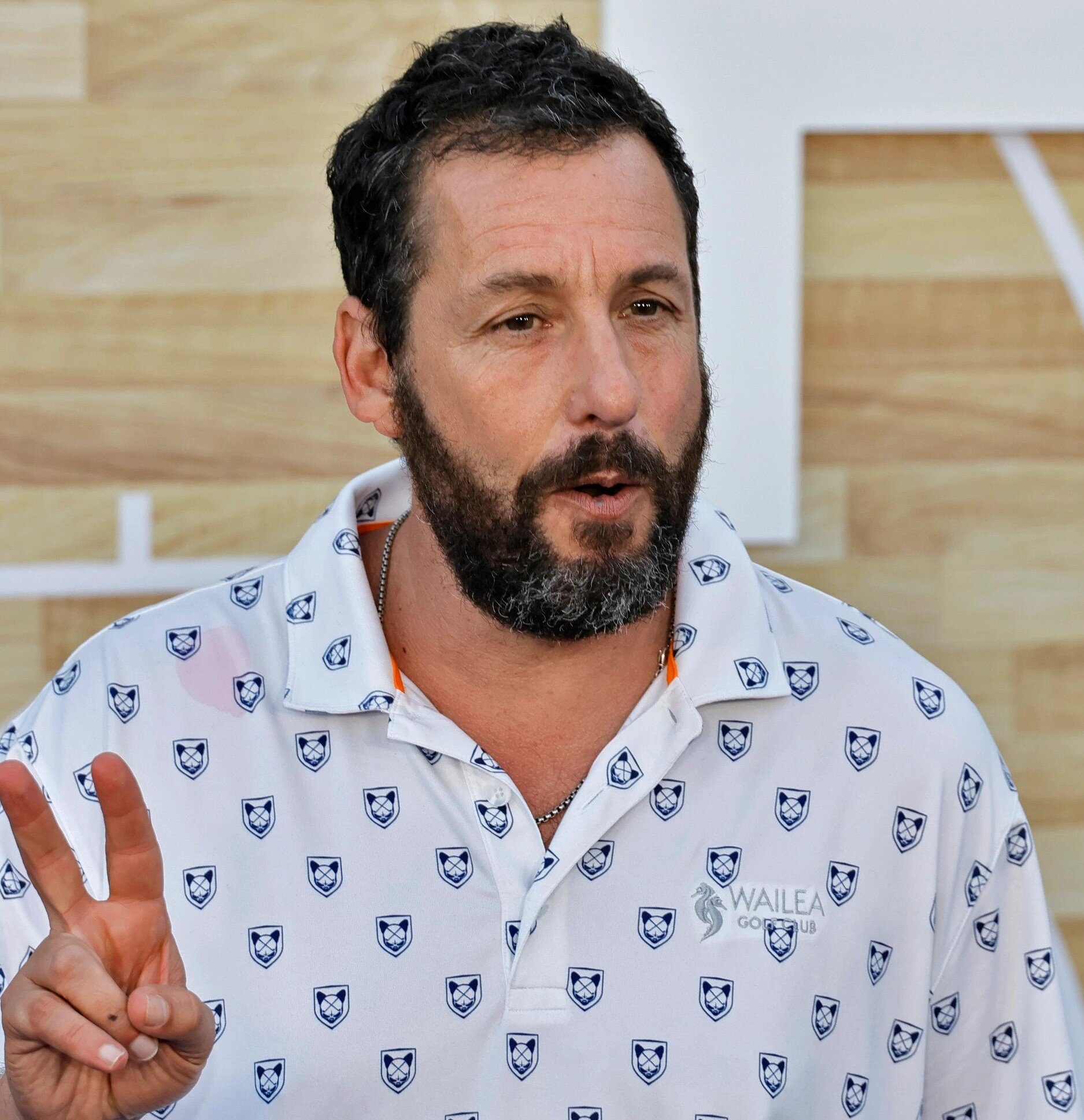 Adam Sandler photo