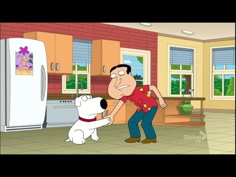 Family Guy    -   Other Paw