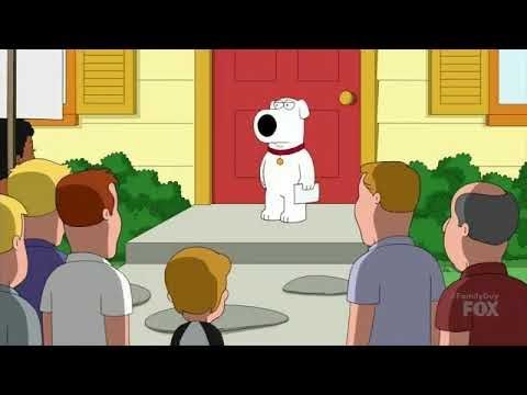 Brian Vs SJW's - Family Guy