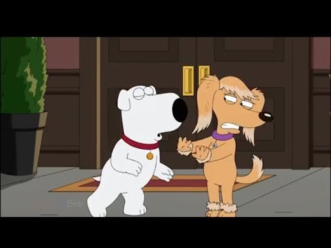 Family Guy - Brian's New Girlfriend