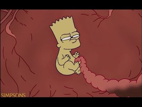 The Simpsons Funniest Moments #98*HD*(Bart is Born)