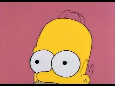The Simpsons: Best of Homer and His Brain