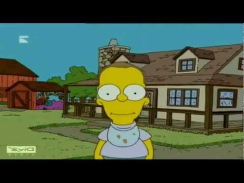 Homer Simpson takes a photo of himself every day HD